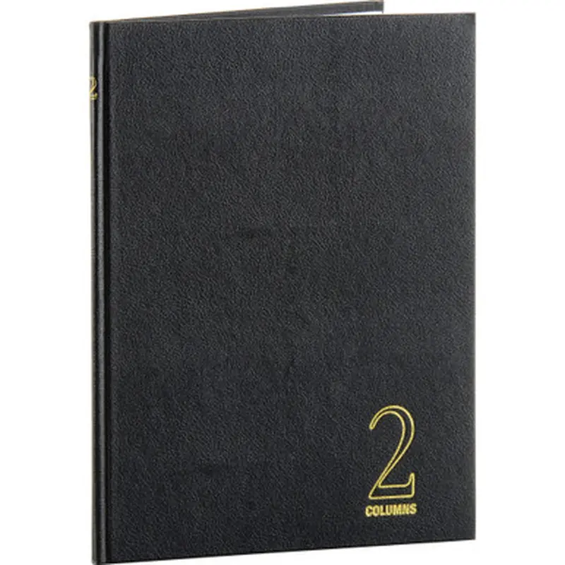 Wilson Jones W74102 74100 2-Column Account Book