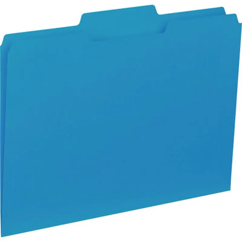 Business Source 43562 1/3-cut Colored Interior File Folders