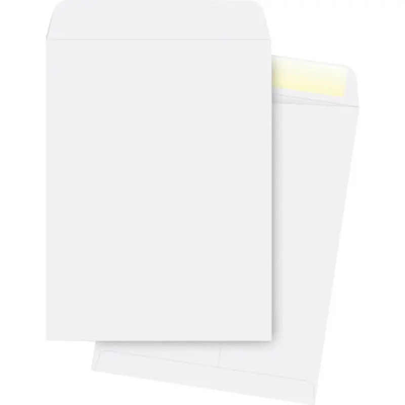 Business Source 42103 28 lb. White Catalog Envelopes