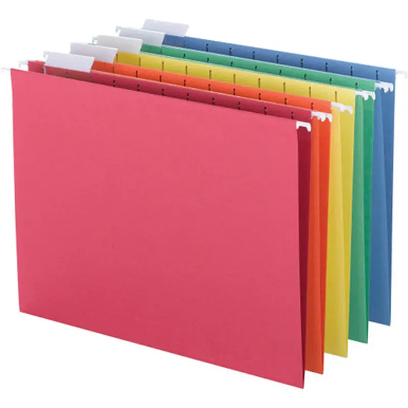 Business Source 5215AST 1/8-cut Tab Slots Hanging File Folder