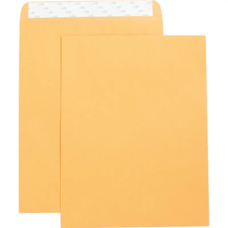 Business Source 42121 Self Adhesive Kraft Catalog Envelopes