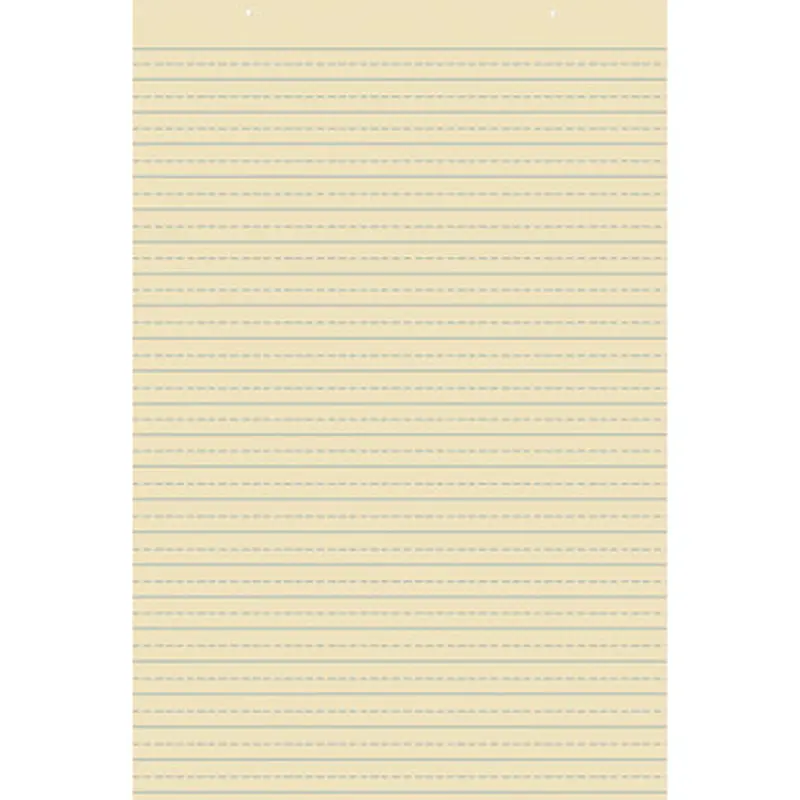 Pacon 5163 Ruled Tagboard Sheet