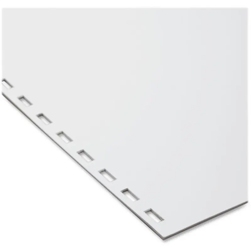 GBC 2020046 CombBind 19-hole Pre-Punched Paper