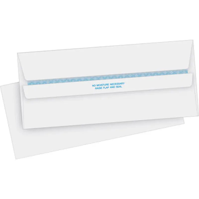 Business Source 04645 Regular Security Invoice Envelopes