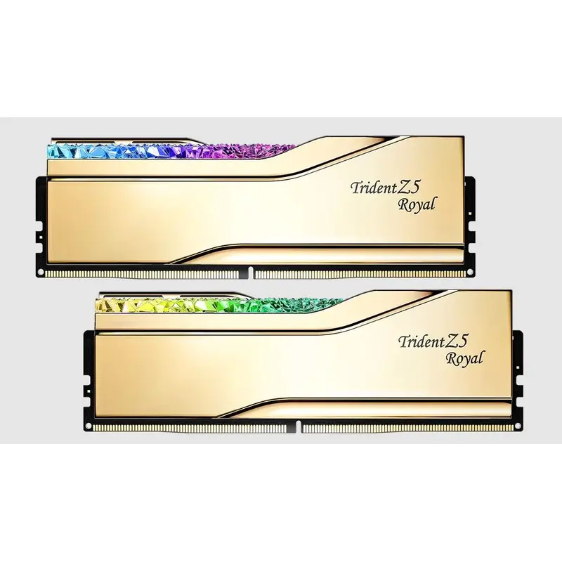 G.SKILL F5-8400J4052G24GX2-TR5G 48GB (2 x 24GB)/ DDR5 8400 MT/s/ Timings 40-52-52-134/ Voltage 1.4V/ TZ5 ROYAL G.