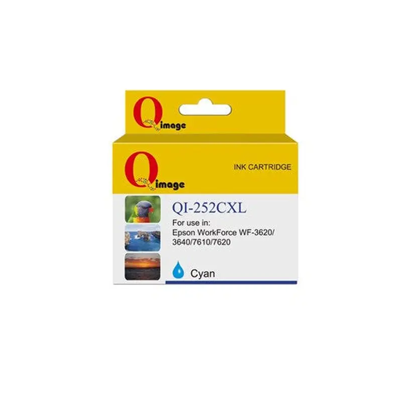 Q-Image Compatible Epson 252XL Dye Ink Cartridge High Yield Cyan