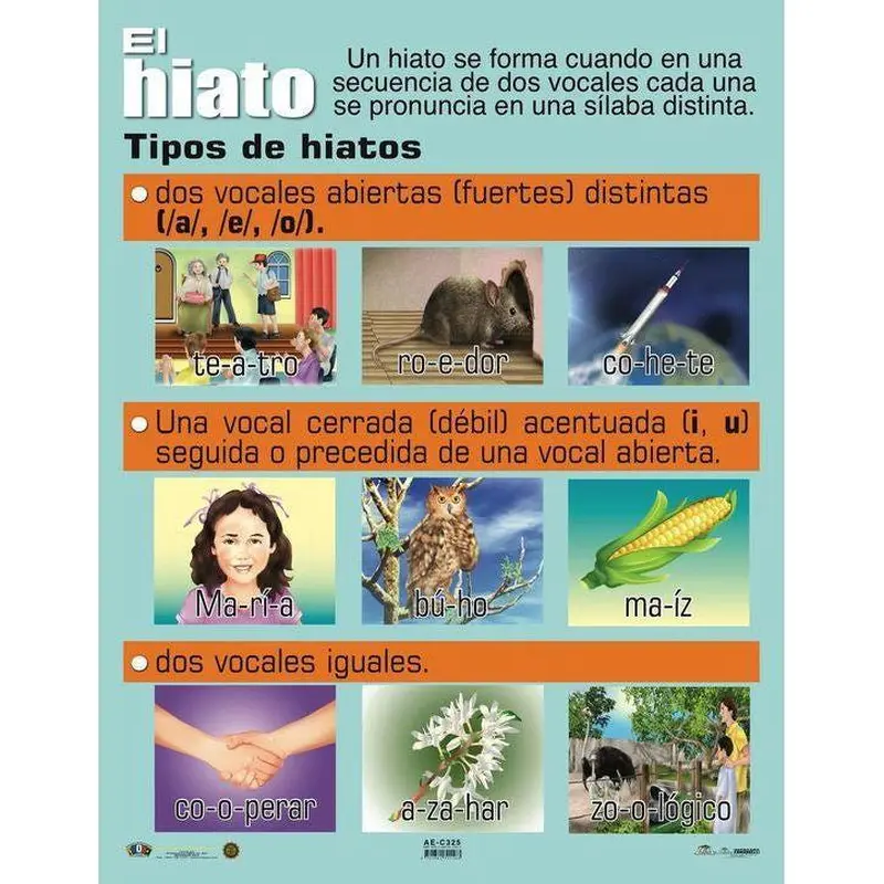 CARTEL EL HIATO