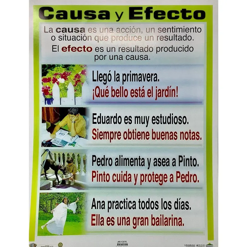 CARTEL CAUSA Y EFECTO