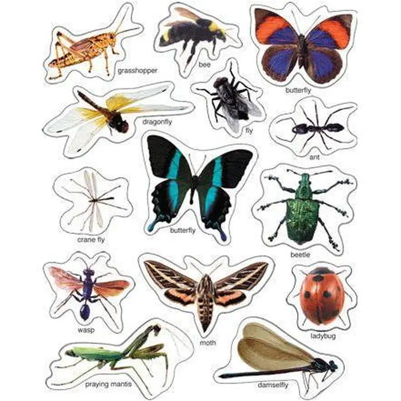 INSECTS: PHOTOGRAPHIC SHAPE STICKERS 84 STICKER