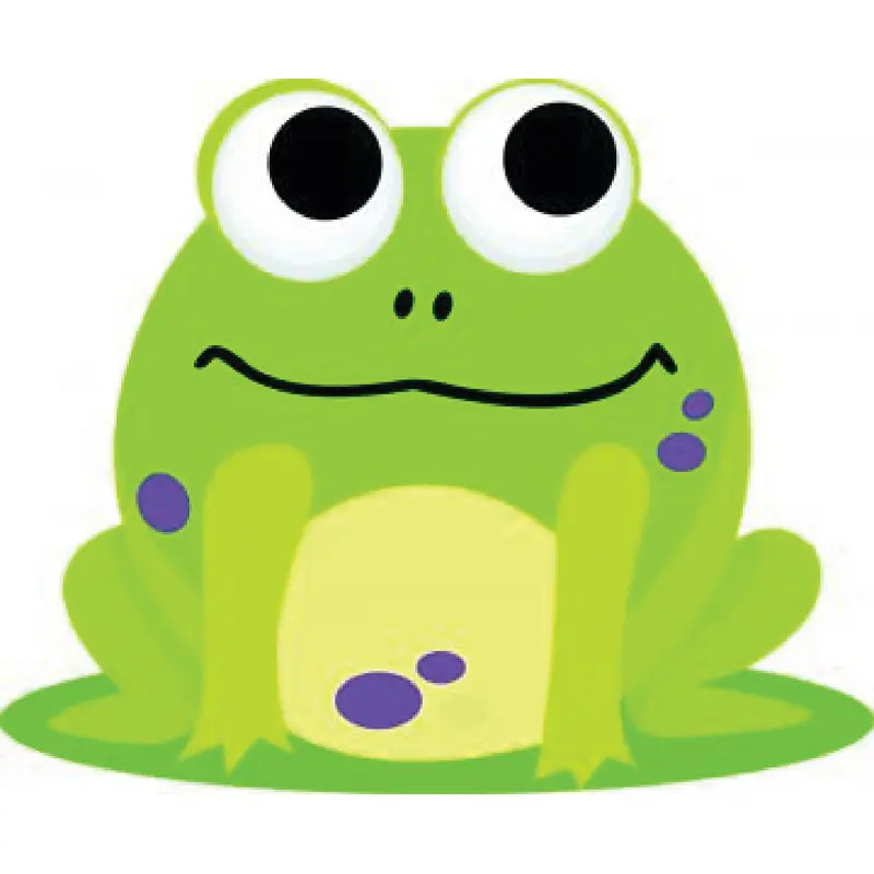 Ashley Frog Magnetic Whiteboard Eraser (ASH10021)