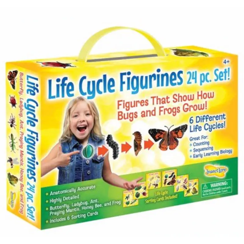 Insect Lore Life Cycle Figurines, 24 Piece Set (ILP 2205)