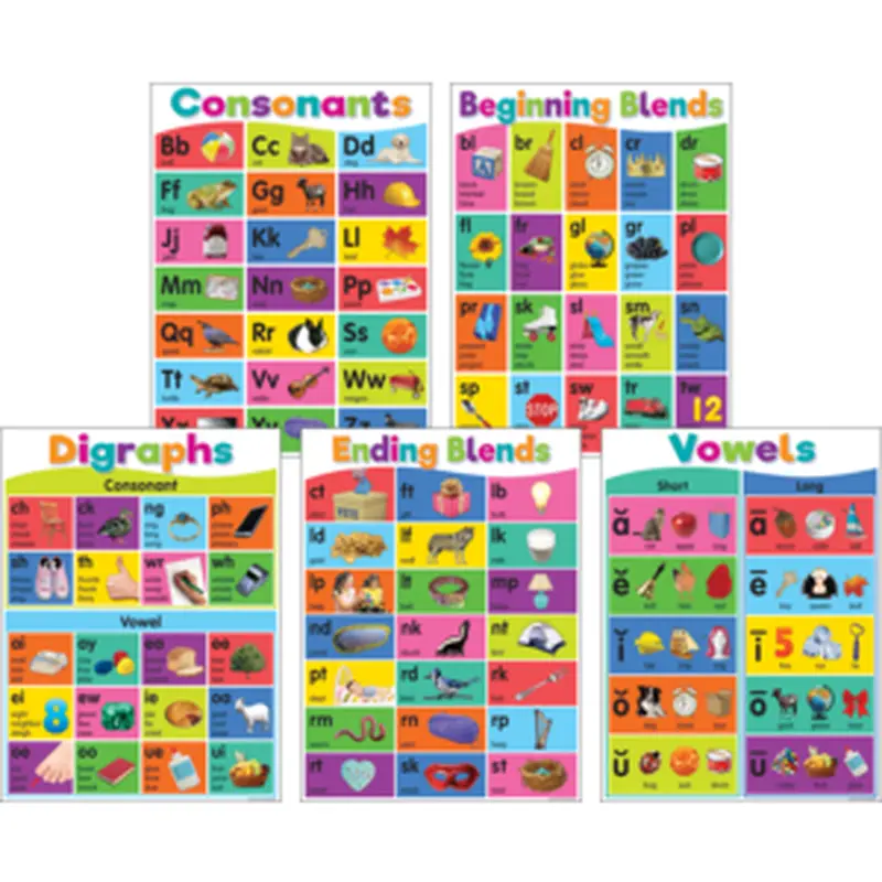 Teacher Created Colorful Phonics Bulletin Board (TCR 6591)