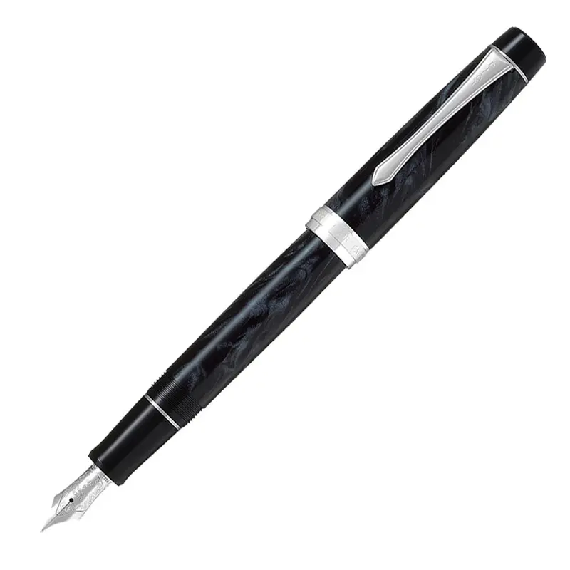 Pilot Custom Heritage SE Fountain Pen - Marble BlackFine