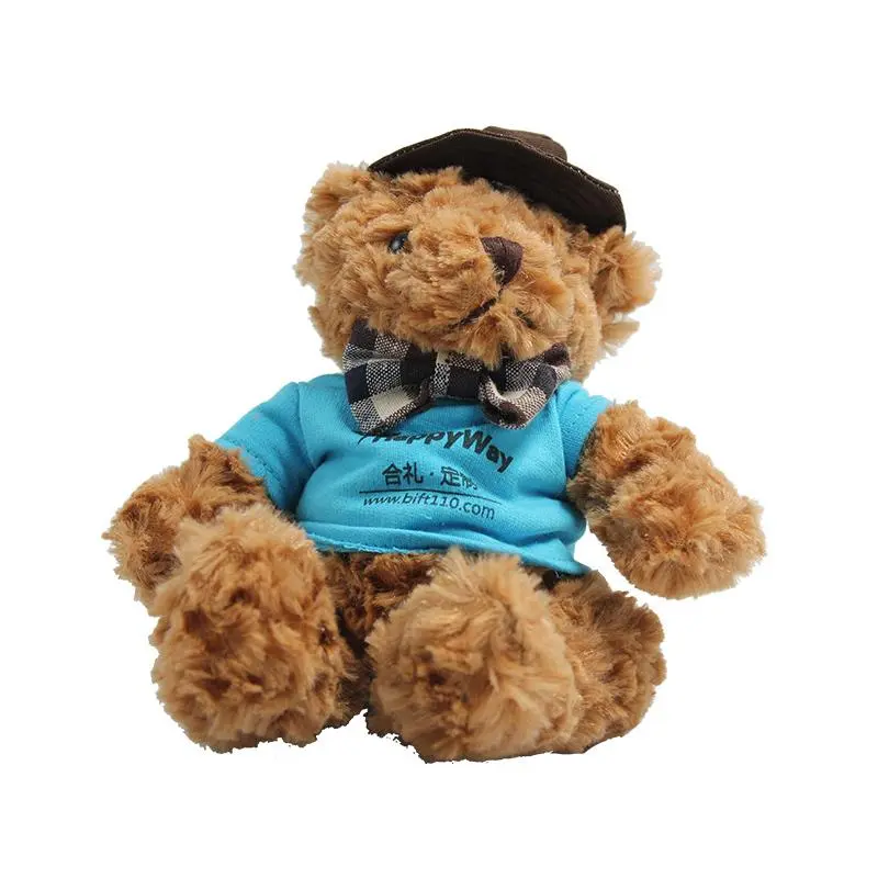20cm Teddy Bear Plush Toy With T-Shirt And Hat500 