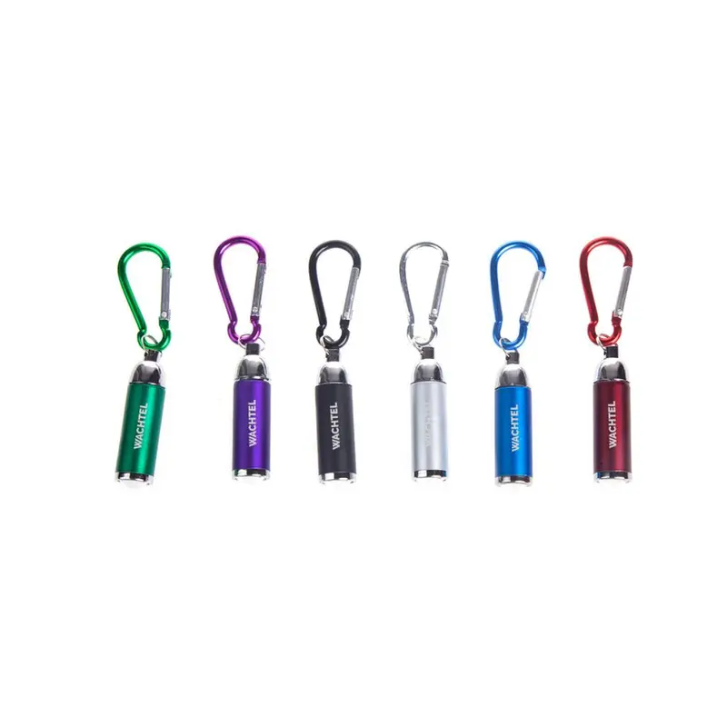 Coloured Mini Torch Light With Matching Carabiner1000 