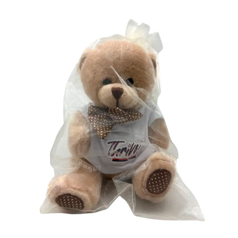 Customised Bear Soft Toy (Preorder)