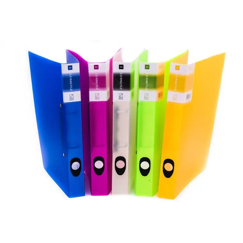 Premium Translucent Ring FileAssorted