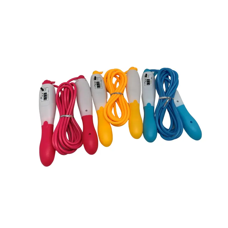 Skipping Rope with CounterAssorted