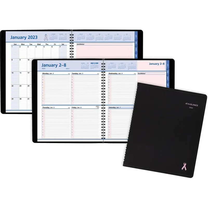 At-A-Glance QuickNotes Special Edition Weekly/Monthly Appointment Book [SKU - AAG76PN0105]EA