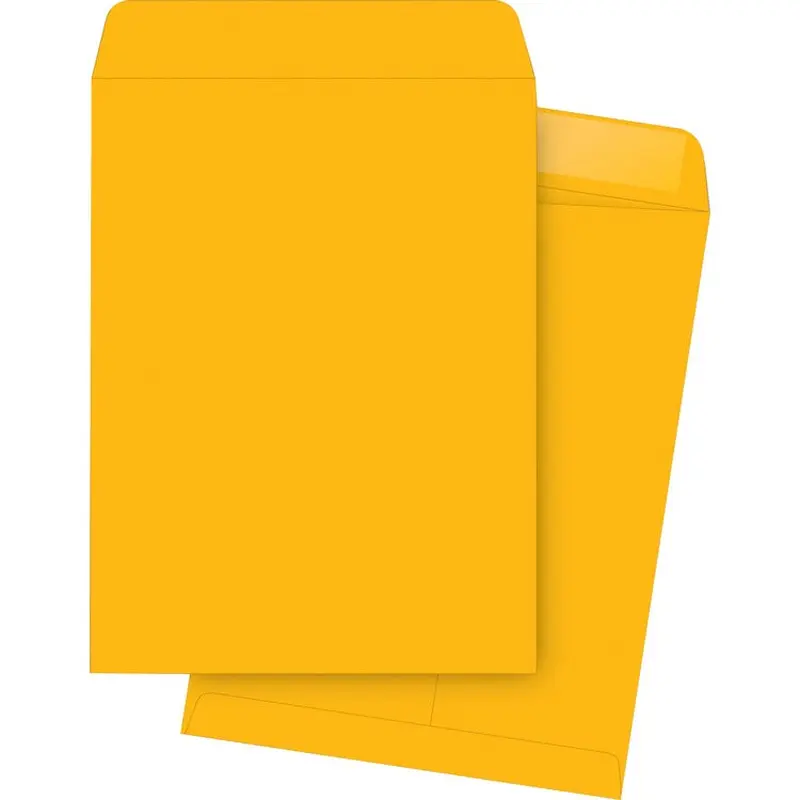 Business Source Kraft Gummed Catalog Envelopes [SKU - BSN42114]BX