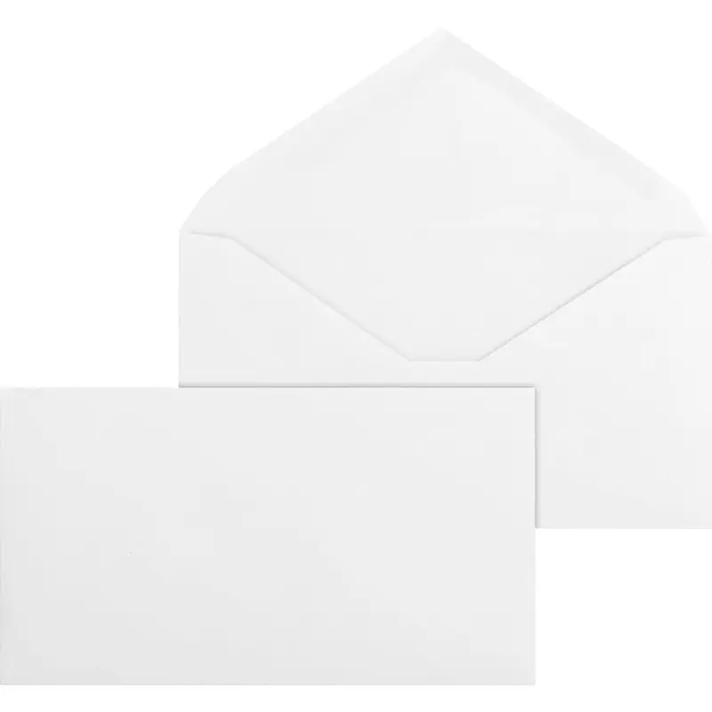 Business Source No. 6-3/4 White Wove V-Flap Business Envelopes [SKU - BSN42252]BX