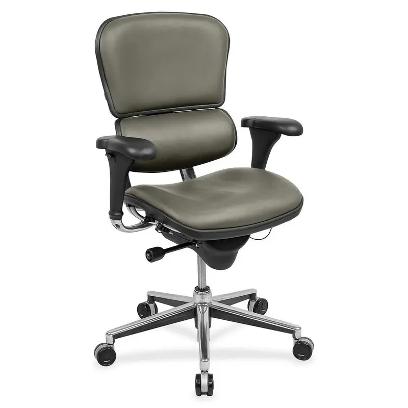 Eurotech ergohuman LE10ERGLO Mid Back Management Chair [SKU - EUTLE10LO24]EA