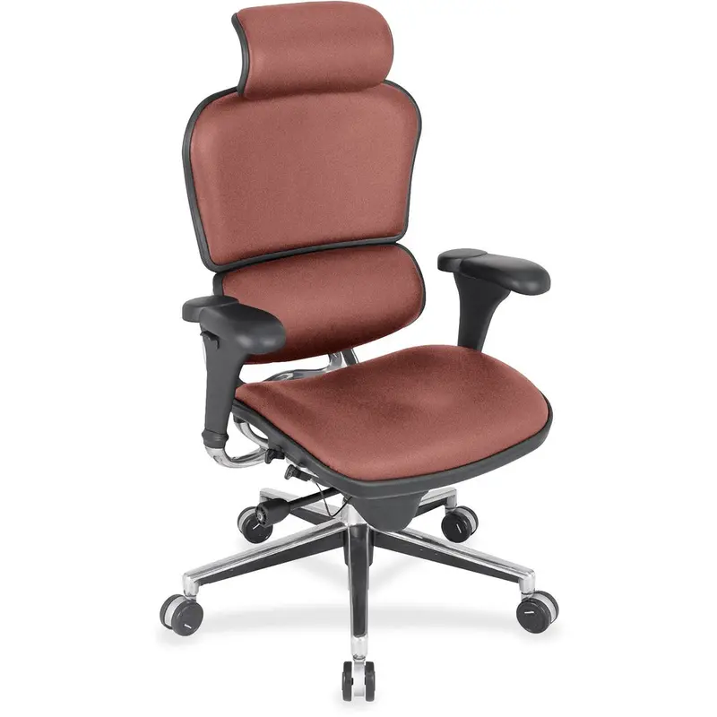 Eurotech Ergohuman Leather Executive Chair [SKU - EUTLE9ERG106]EA
