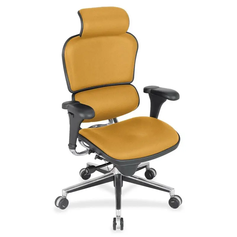 Eurotech Ergohuman Leather Executive Chair [SKU - EUTLE9ERG53]EA