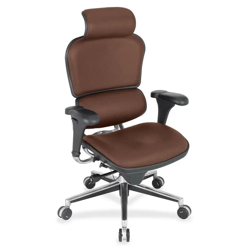 Eurotech Ergohuman Leather Executive Chair [SKU - EUTLE9ERG98]EA