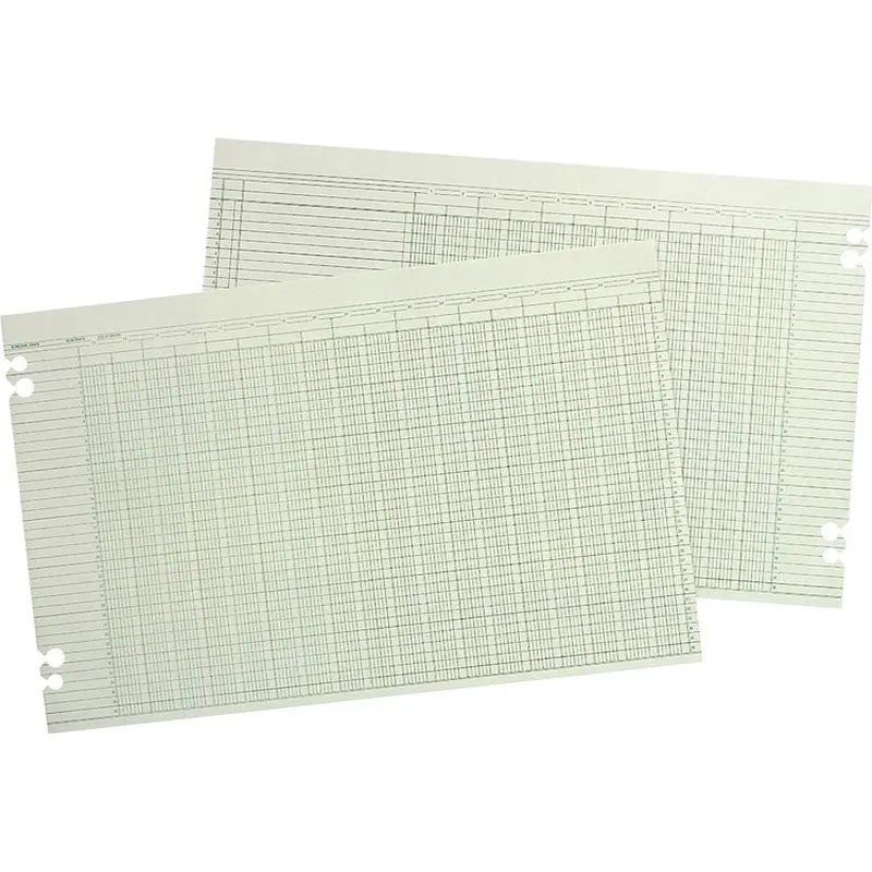 Wilson Jones Columnar Ruled Sheets [SKU - WLJG5030]PK