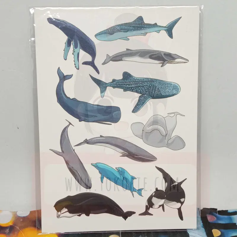 Happiness Grass Whale Variants Postcard