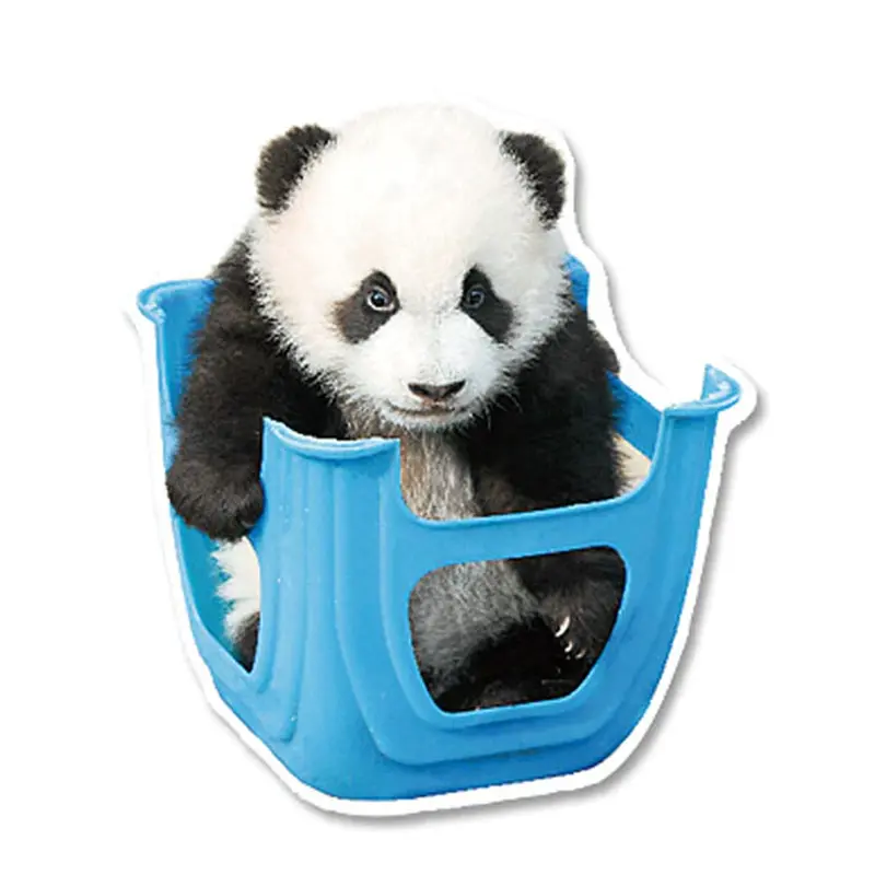 Greeting Life Panda In Chair Postcard