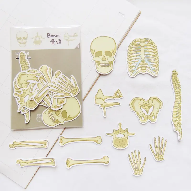 Lorak's Handmade Biology Bones Skull Sticker Set