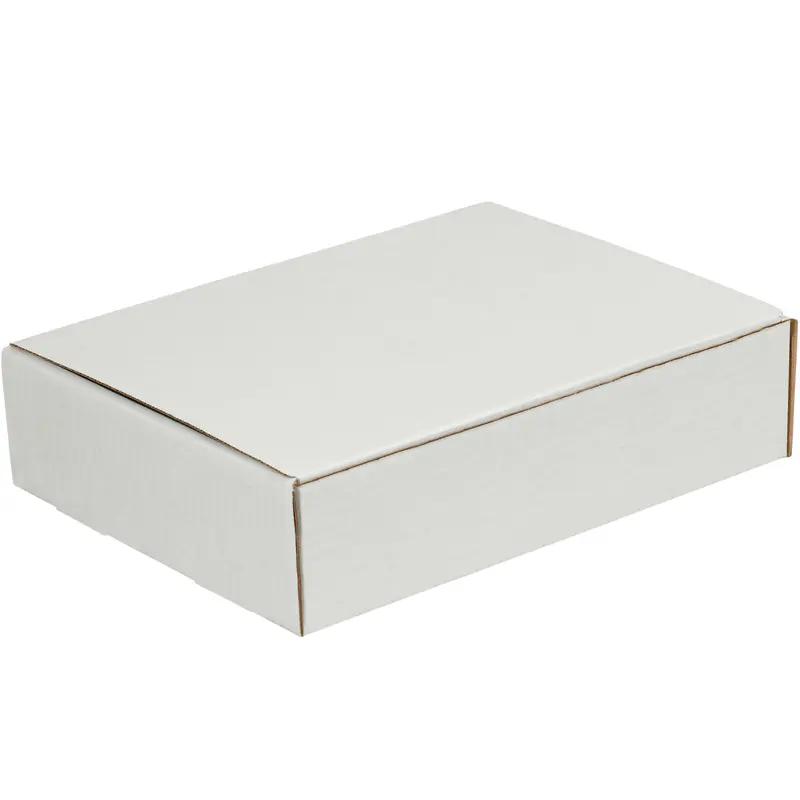 10 x 9 x 3 White Literature Mailers  50/Bundle