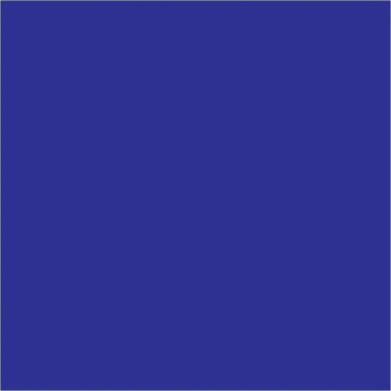 4 x 4" Dark Blue Inventory Rectangle Labels 500/Roll