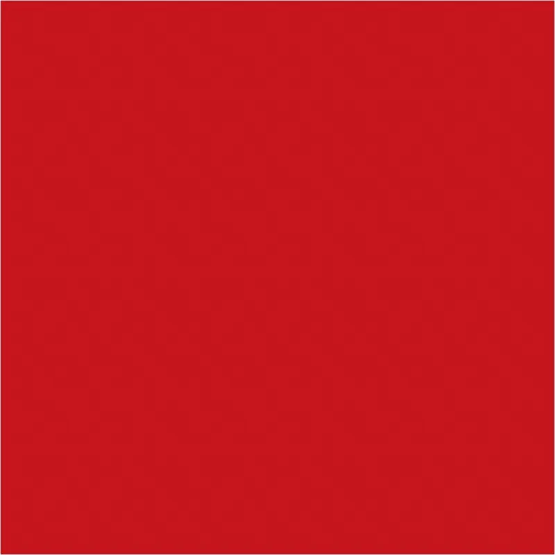 4 x 4" Red Inventory Rectangle Labels 500/Roll