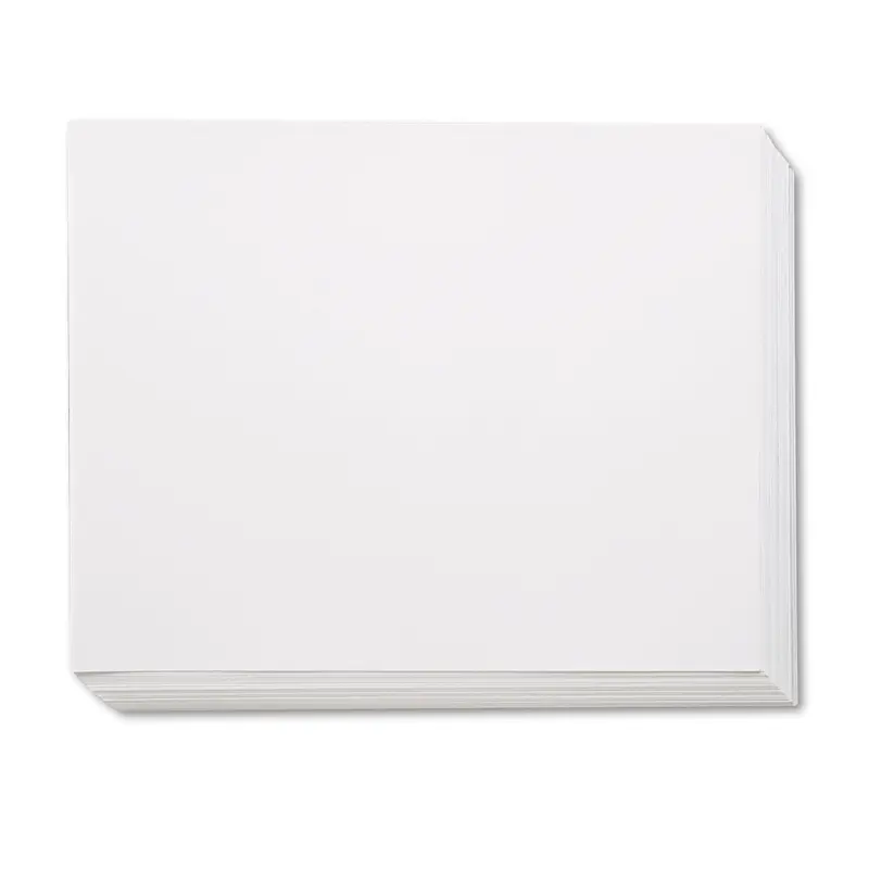 Four-Ply Railroad Board, 22 x 28, White, 100/Carton