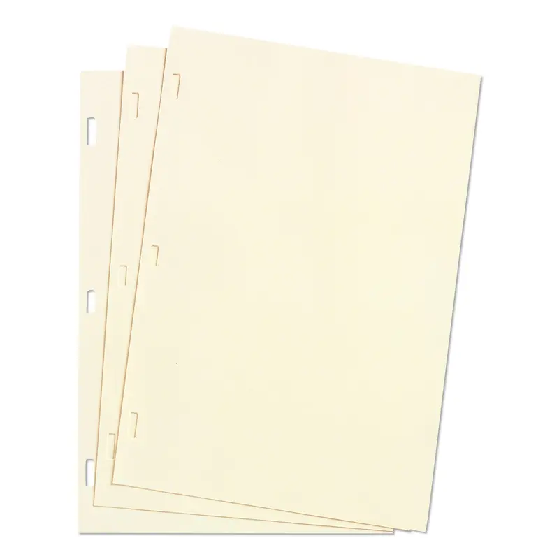 Looseleaf Minute Book Ledger Sheets, 11 x 8.5, Ivory, Loose Sheet, 100/Box