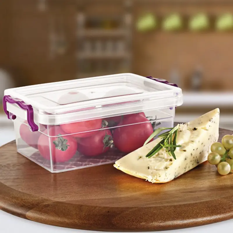 Asude Rectangle Storage Box 3 L