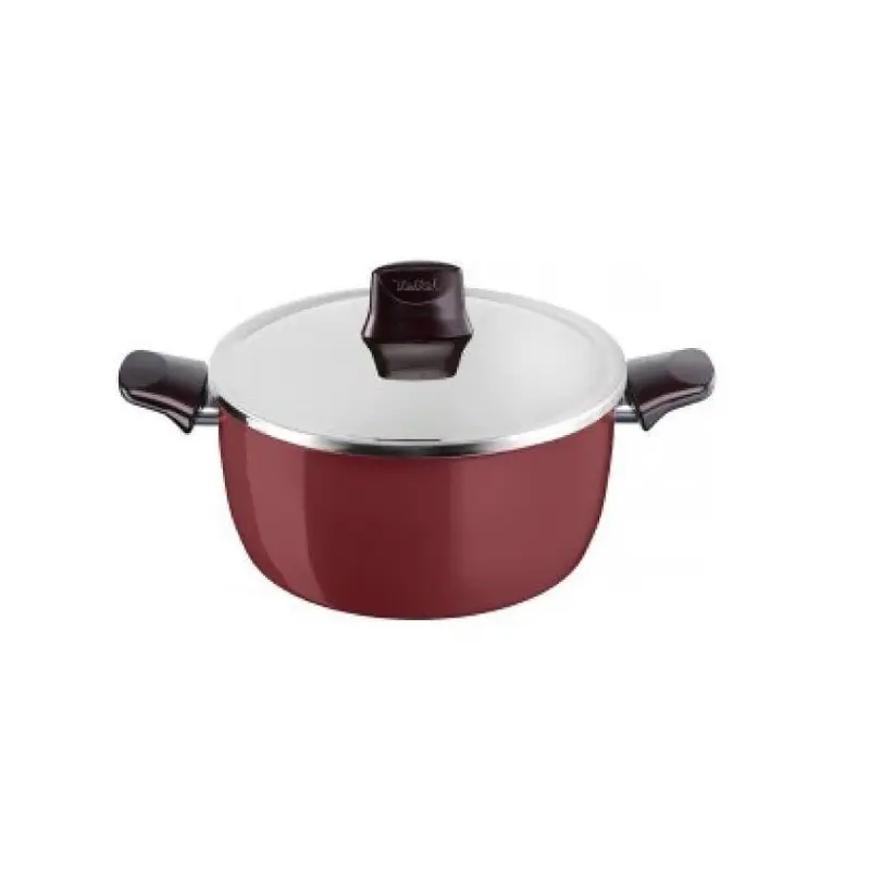 Tefal Pleasure Stewpan 22 cm   Stainless Steel Lid / D5054552