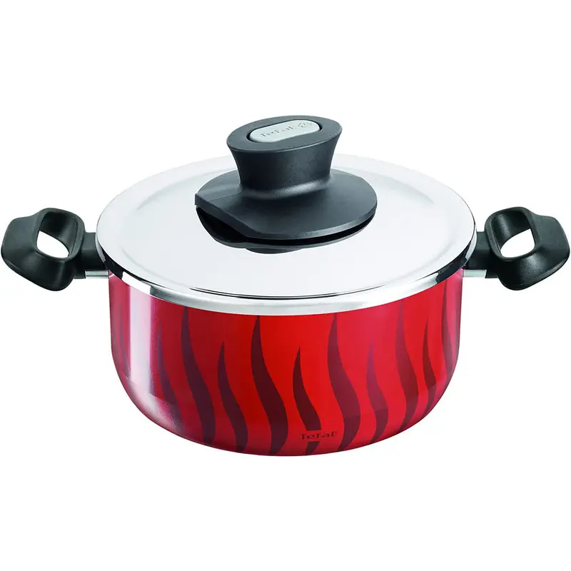 Tefal Tempo Flame Stew Pot 28 cm   Stainless Steel Lid / C3045383