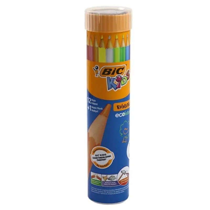 Bic Dry Paint Evolution Metal Tube 12 1 958191